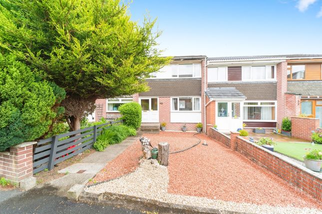3 bed terraced house