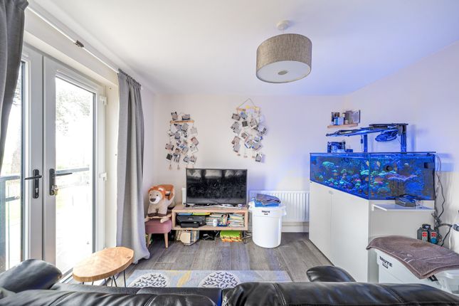 1 bed flat