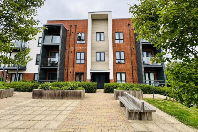 1 bed flat