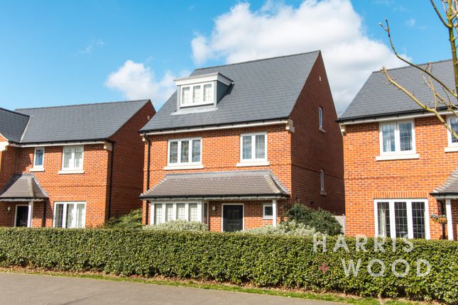 Echelon Walk, Colchester, Essex, CO4 4 bed detached house for sale