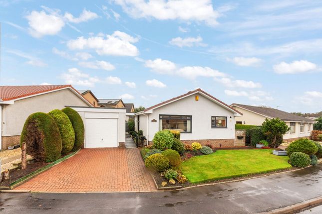 Nicolton Avenue, Brightons, FK2 3 bed detached bungalow for sale