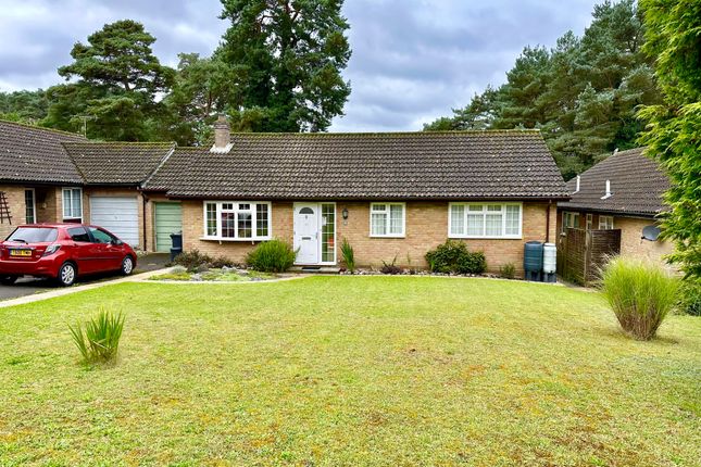 3 bed detached bungalow