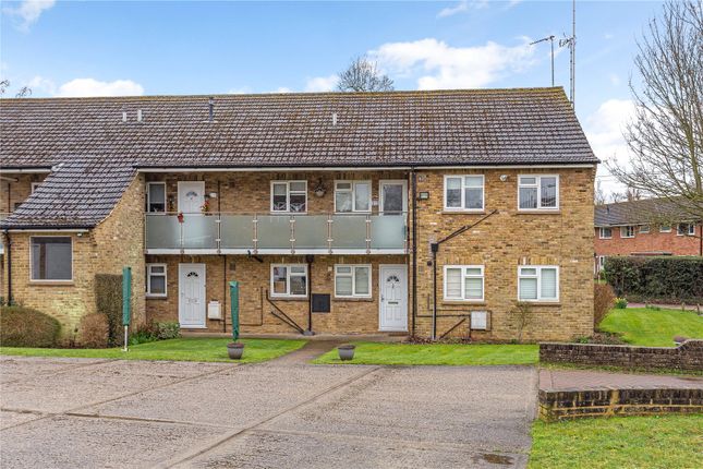 1 bed flat