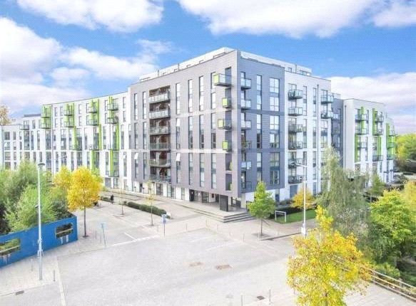 1 bed flat