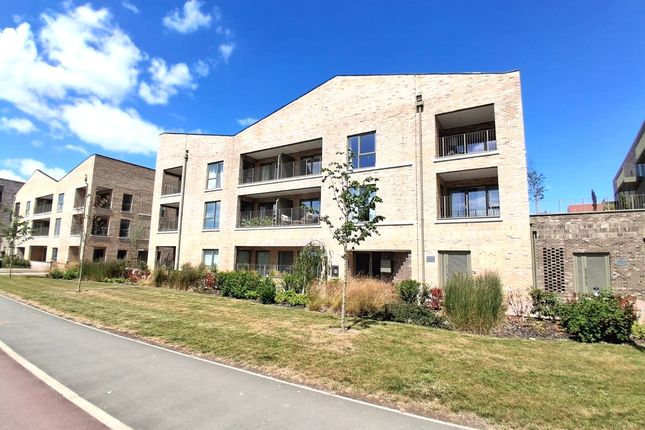 1 bed flat