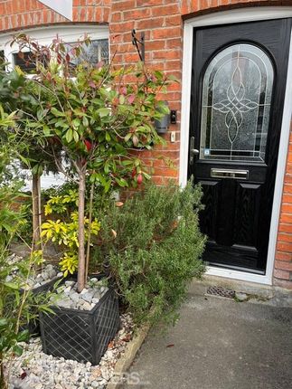 3 bed terraced house