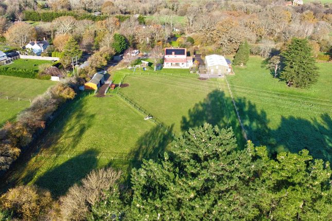 Flexford Lane, Sway, Lymington... 4 bed equestrian property for sale