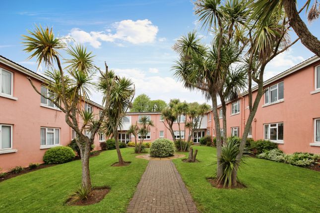 1 bed flat