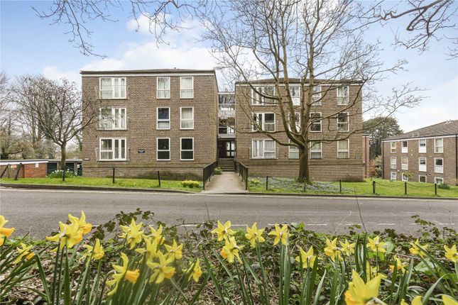 2 bed flat