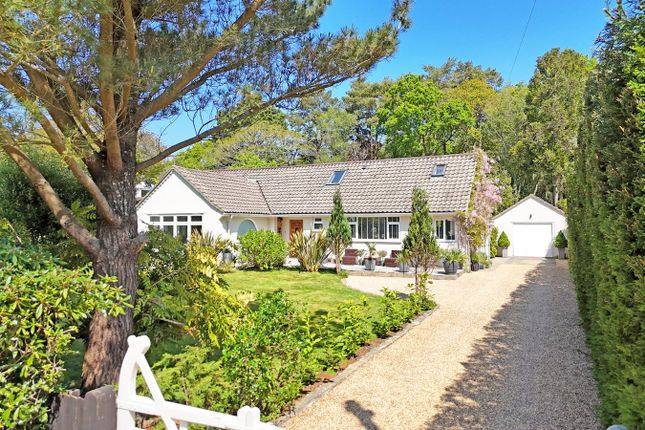 Dial Close, Bransgore, Christchurch... 5 bed chalet for sale