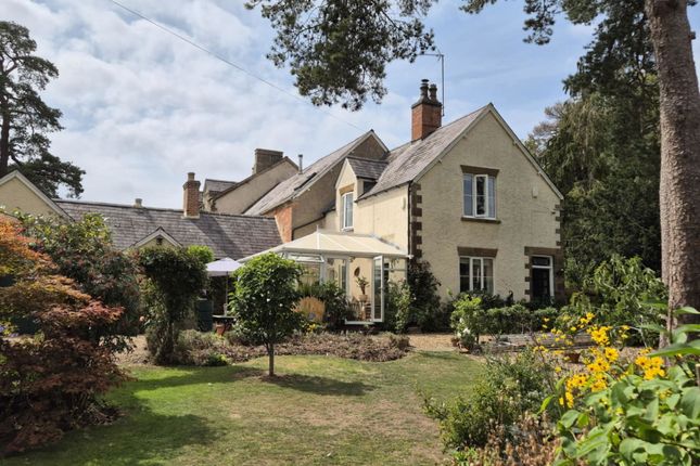 Queens Street, Culworth OX17 2 bed cottage for sale