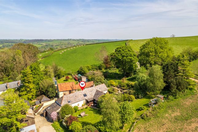 4 bed equestrian