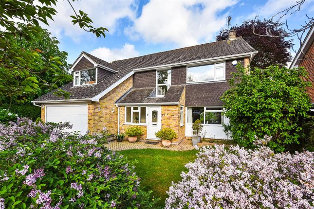 The Pines, Andover 4 bed detached house for sale
