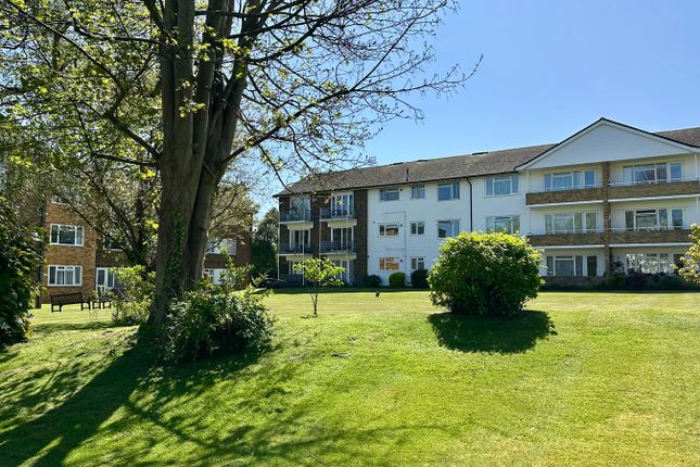 1 bed flat