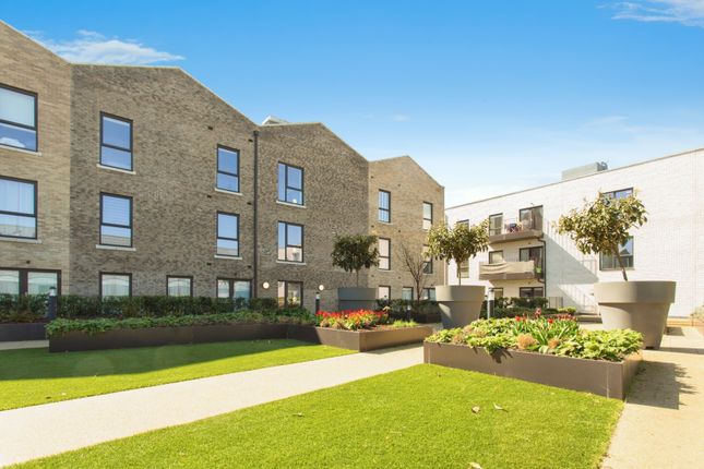 1 bed flat