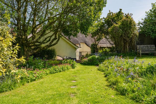 New Buildings, Sandford, EX17 4 bed house for sale