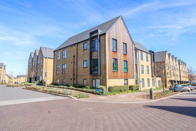 1 bed flat