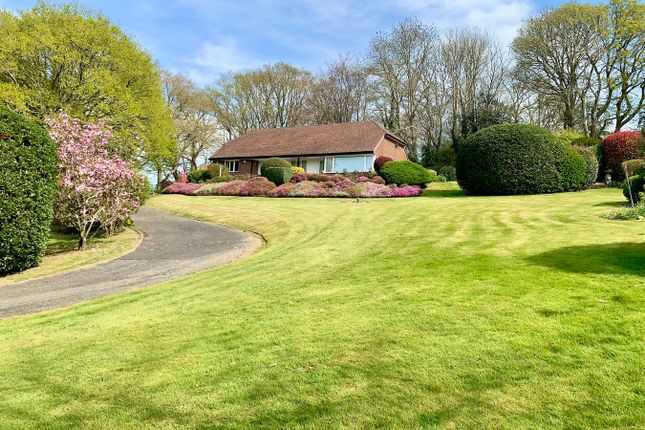 4 bed bungalow