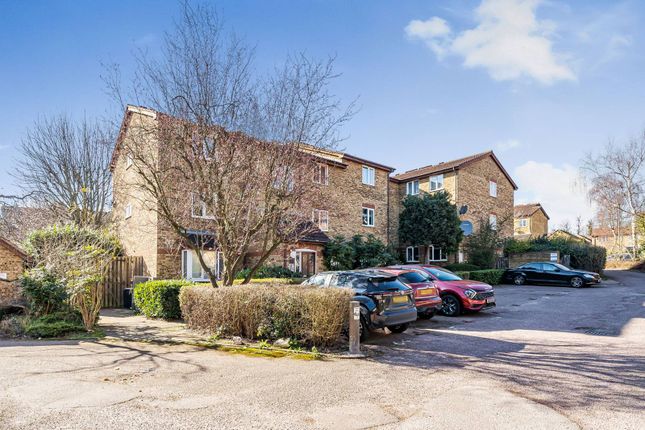 1 bed flat