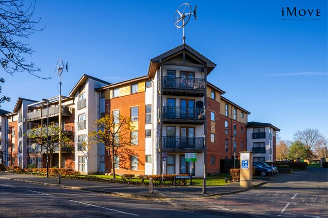 1 bed flat