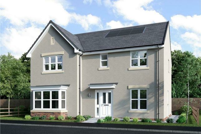 Plot 91, Castleford at Winton View... 5 bed detached house for sale