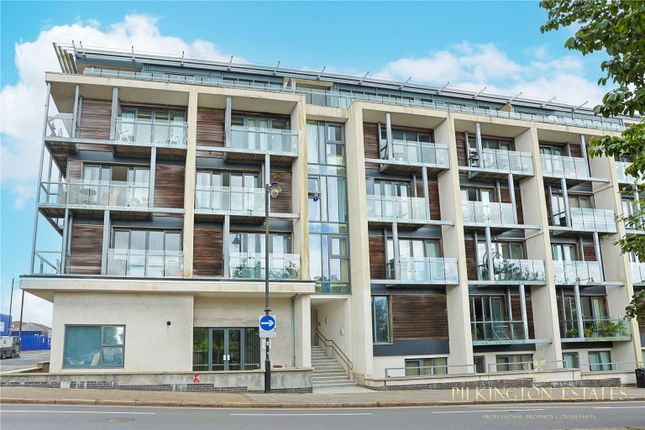 1 bed flat
