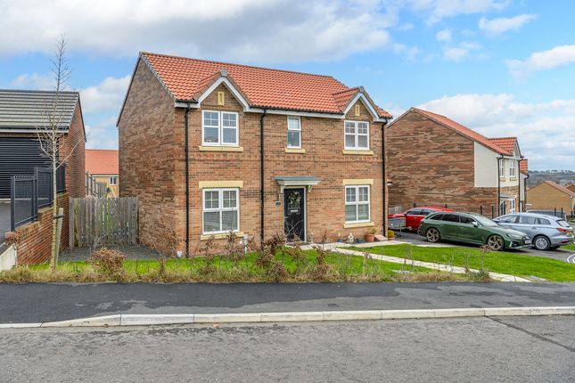 Swordy Park, Alnwick NE66 4 bed detached house for sale
