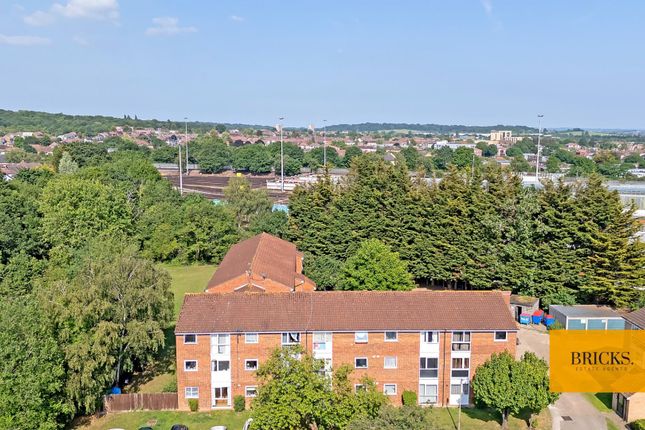 1 bed flat
