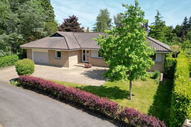 5 bed detached bungalow
