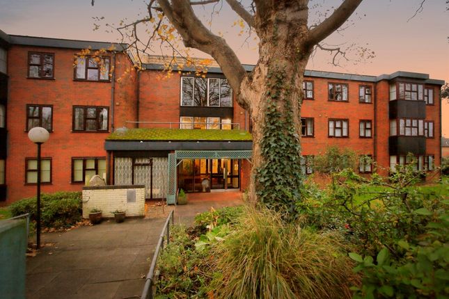 1 bed flat