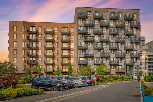 1 bed flat
