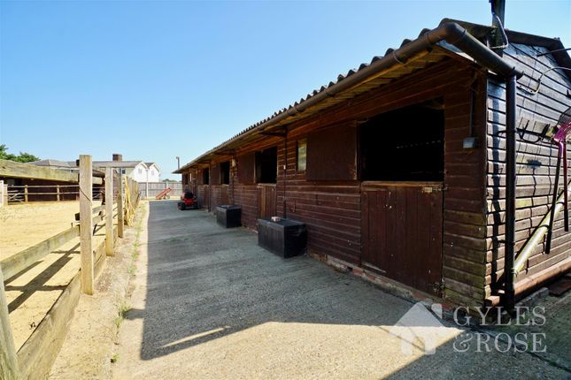 3 bedroom equestrian property for sale