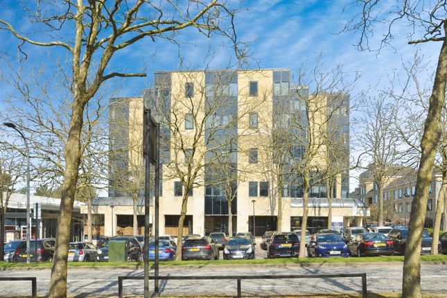 1 bed flat