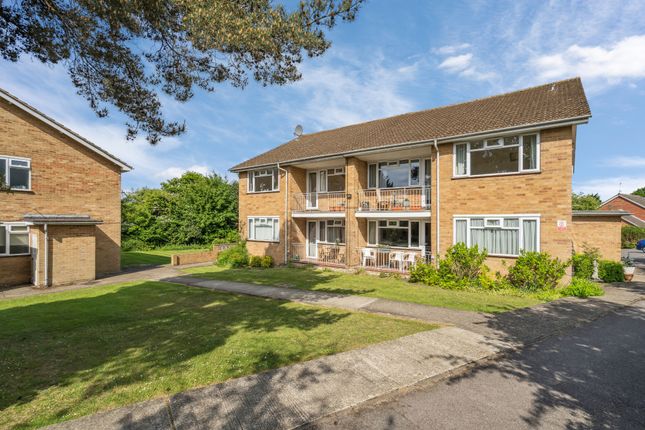 3 bed flat