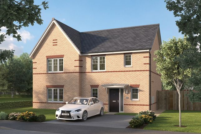 Plot 172 at Trinity Fields North... 3 bed semi