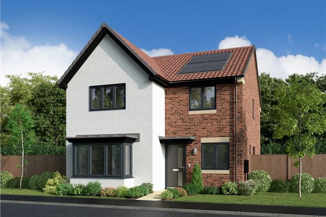 Plot 68, The Poplar at Rowan Park... 4 bed detached house for sale