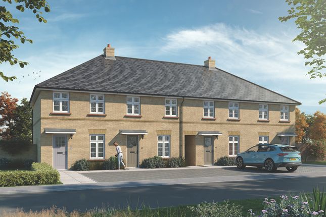 Hedingham Mid at The Foxgloves... 2 bed terraced house for sale