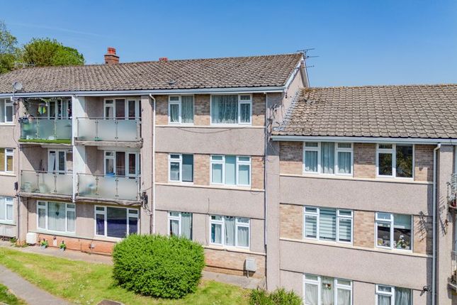 1 bed flat