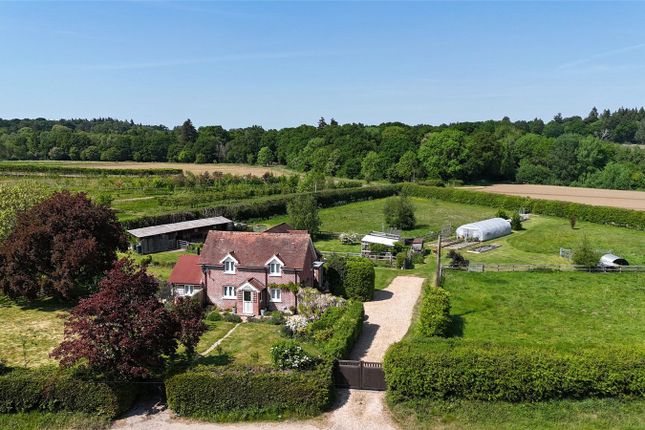 Hamptworth Road, Landford, Salisbury... 4 bed detached house for sale