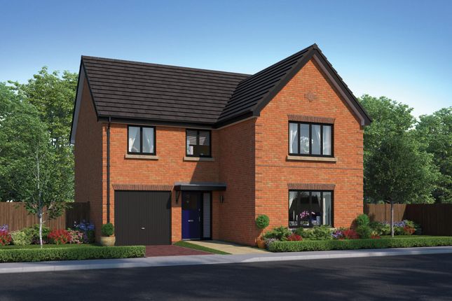 The Forester at Alderstone Park... 4 bed detached house for sale