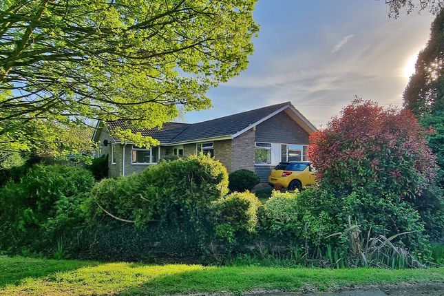 2 bed detached bungalow
