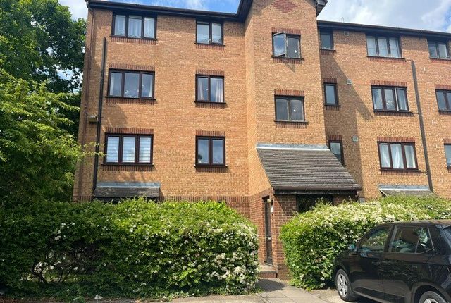 1 bed flat