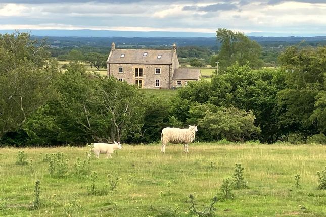 Lartington, Barnard Castle, County... 5 bed equestrian property for sale