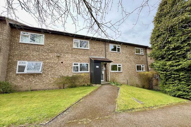 2 bed flat