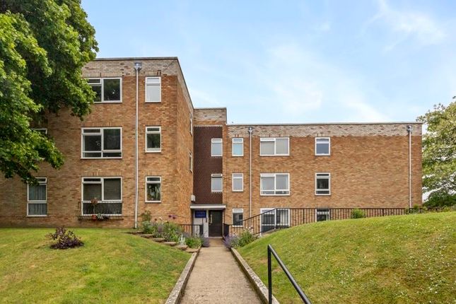 1 bed flat