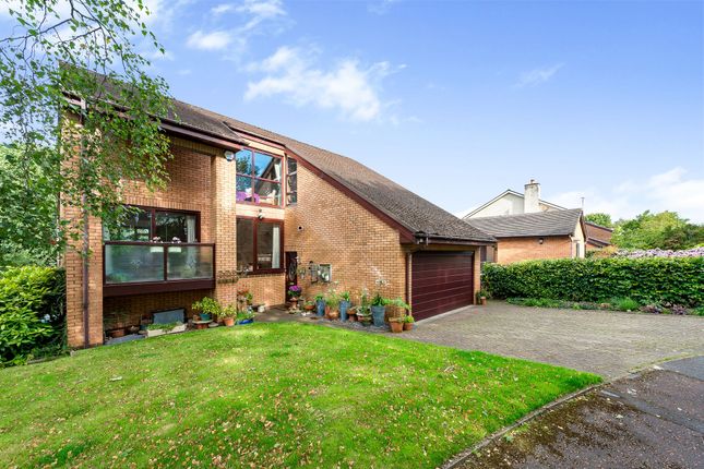 5 bed detached house