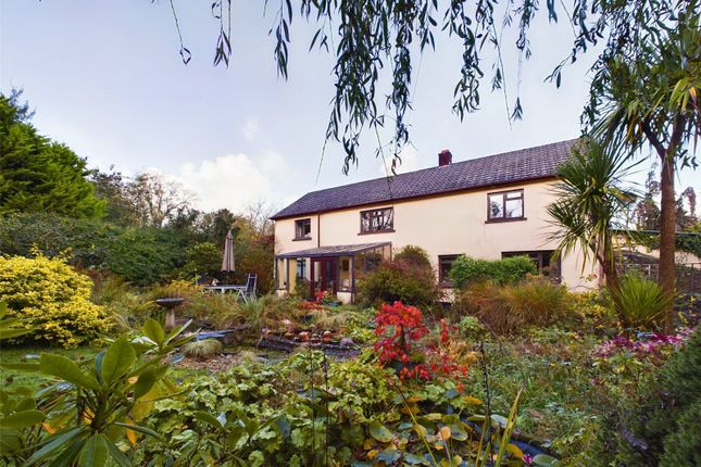Holsworthy, Devon 6 bed detached house for sale