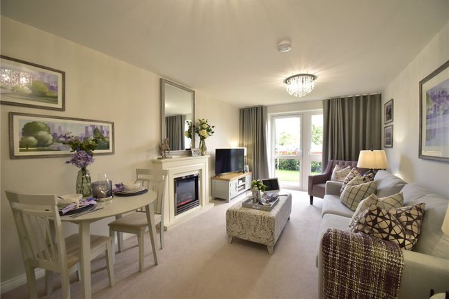 1 bed flat
