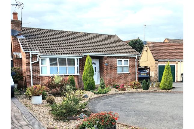 2 bed detached bungalow