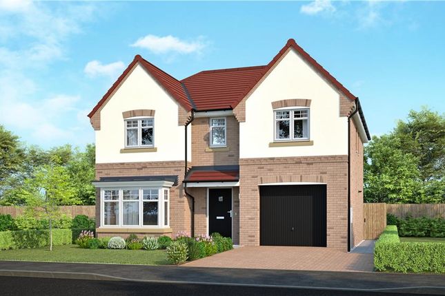 Plot 40, The Denwood at Blakeney... 4 bed detached house for sale